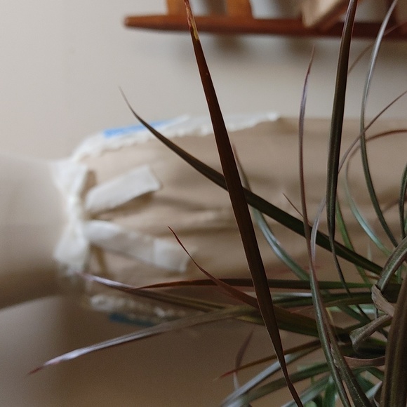 Vintage Organdy Apron - Picture 6 of 8